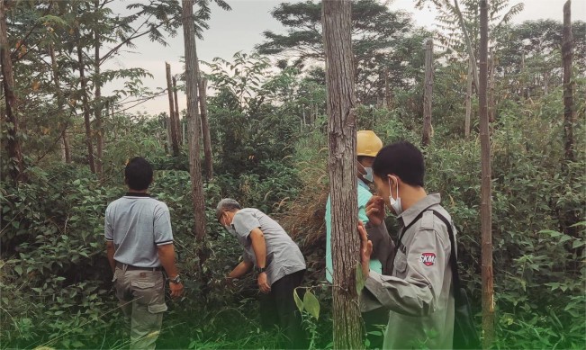 Kegiatan stok opname Inhutan V. (inhutani.co.id)